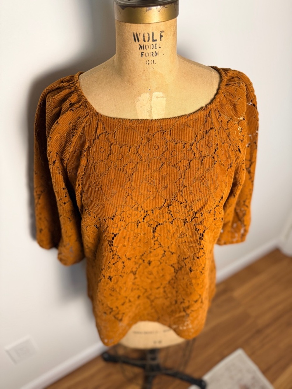 Anthropologie Dolan brown lace short sleeve lined blouse large